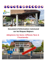 DICRIM POEY DE LESCAR 2025.PDF